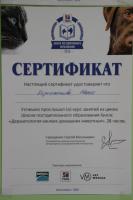 Сертификат отделения Новосибирская 3
